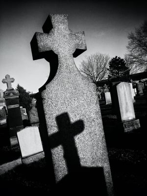 Calvary Cemetery by null