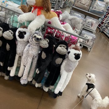 Walmart Supercenter - a dog looking at stuffed animals - Department Stores Near Me - Westminster, Colorado Walmart Supercenter - a dog looking at stuffed animals - Department Stores Near Me - Westminster, Colorado