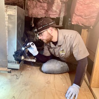 Busy Bee Pest Solutions - We will look for the rodents so you don't have to! - Pest Control Near Me - Phoenix, Arizona Busy Bee Pest Solutions - We will look for the rodents so you don't have to! - Pest Control Near Me - Phoenix, Arizona