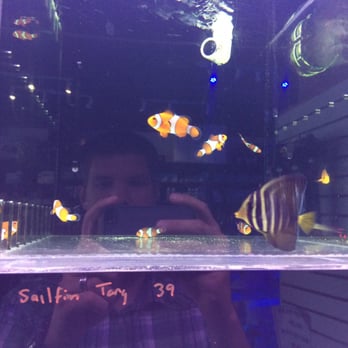 Ocean Blue Aquarium - Aquarium Services Near Me - Casselberry, Florida Ocean Blue Aquarium - Aquarium Services Near Me - Casselberry, Florida