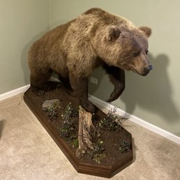 Huge Bear with base. Huge Bear with base.