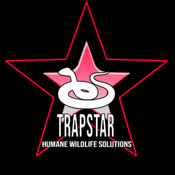 Trapstar Wildlife Solutions - Wildlife Control Near Me Trapstar Wildlife Solutions - Wildlife Control Near Me
