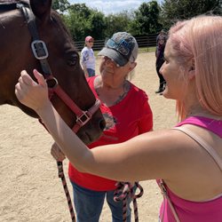 Spirits Promise Horse Rescue