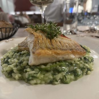 Huth Gastwirtschaft - Out of this world special:  perch with spinach risotto. It was amazing. - Austrian Near Me - Vienna, 9