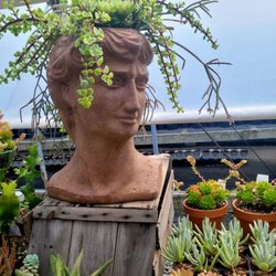 Shakespeare's Garden