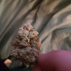 Thrive Dispensary