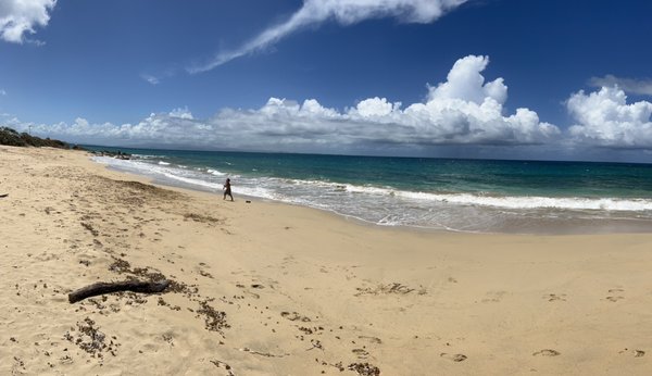 El Gallito ( Gringo Beach ) by null