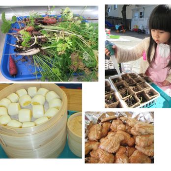 Kinder Academy Montessori - Montessori Schools Near Me - San Mateo, California Kinder Academy Montessori - Montessori Schools Near Me - San Mateo, California