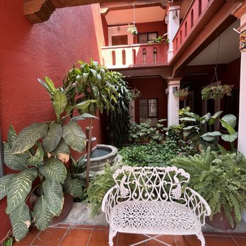 Hotel Maela - Hotels Near Me - Oaxaca, OAX