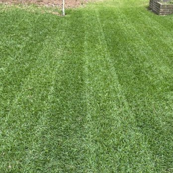 Pristine Lawn Services - Let us do the work so you can enjoy it! - Lawn Services Near Me Pristine Lawn Services - Let us do the work so you can enjoy it! - Lawn Services Near Me