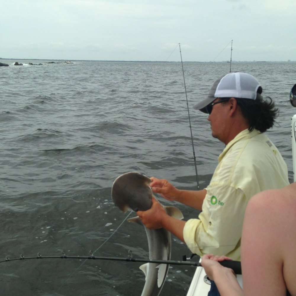 Shallow Thoughts Inshore Fishing Charters - Jeremy with a nice bonnet head shark - Boat Charters Near Me - Mount Pleasant, South Carolina Shallow Thoughts Inshore Fishing Charters - Jeremy with a nice bonnet head shark - Boat Charters Near Me - Mount Pleasant, South Carolina