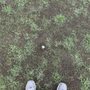 Photo of Augusta Pines Golf Club