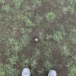 Augusta Pines Golf Club