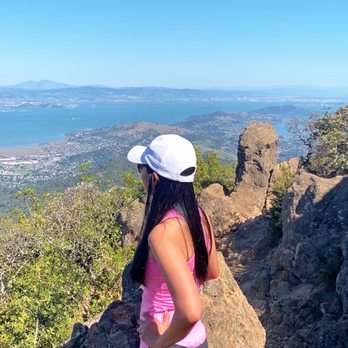 Mt. Tamalpais East Peak - Just taking in this stunning view of the bay. - Parks Near Me - Mill Valley, California Mt. Tamalpais East Peak - Just taking in this stunning view of the bay. - Parks Near Me - Mill Valley, California