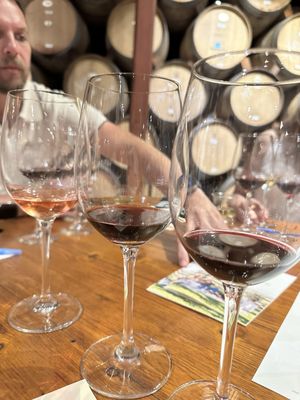 Napa Valley Wine Train by null