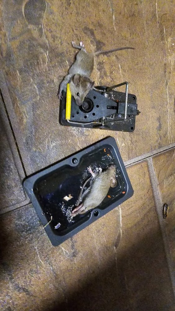 DREXELBROOK APARTMENTS Updated October 2024 35 Photos & 44 Reviews