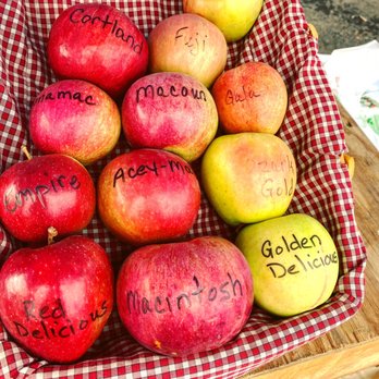 Lawrence Farms Orchards - Apples! Some of them are sold out already - Pick Your Own Farms Near Me - Newburgh, New York Lawrence Farms Orchards - Apples! Some of them are sold out already - Pick Your Own Farms Near Me - Newburgh, New York