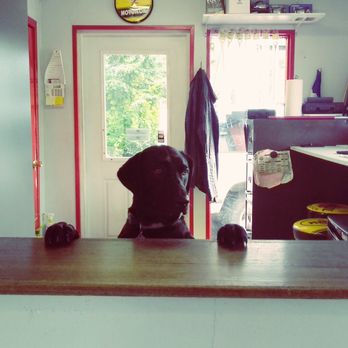Master Lube - Best customer service rep in town! - Car Wash Near Me - Bellingham, Washington Master Lube - Best customer service rep in town! - Car Wash Near Me - Bellingham, Washington