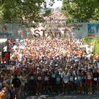 Trollinger Marathon - Races & Competitions Near Me - Heilbronn, BW