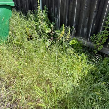 E-Lawn - Before E-Lawn - Landscaping Near Me E-Lawn - Before E-Lawn - Landscaping Near Me