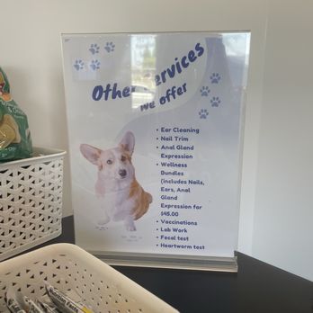 Pet Dental Solutions - services - Veterinarians Near Me - Huntington Beach, California Pet Dental Solutions - services - Veterinarians Near Me - Huntington Beach, California