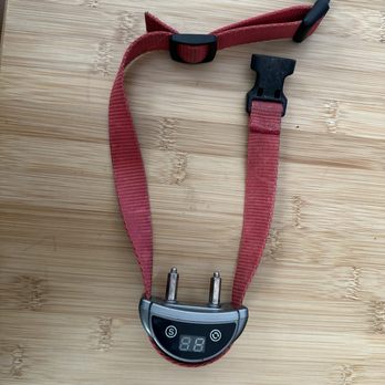A Pooch's Paradise - THIS IS THE SHOCK COLLAR THAT CAUSED HIM HARM!!!!!!!!!!!!!! - Pet Sitting Near Me - San Martin, California