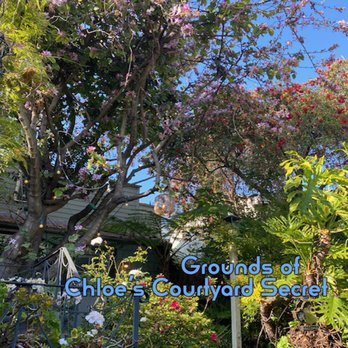 Chloe's Courtyard Secret - Skin Care Near Me - Hollywood, California Chloe's Courtyard Secret - Skin Care Near Me - Hollywood, California