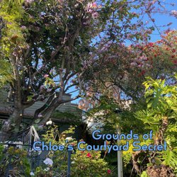 Chloe's Courtyard Secret