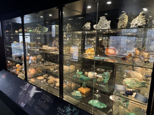 Ogden's George S. Eccles Dinosaur Park by null