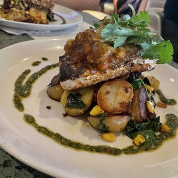 Moxies - Mahi Mahi - Cocktail Bars Near Me - Houston, Texas