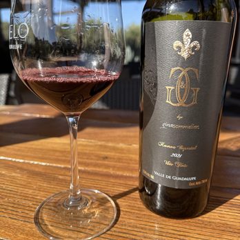 El Cielo - Not so good very tart and bitter - Wineries Near Me - El Porvenir, BCN