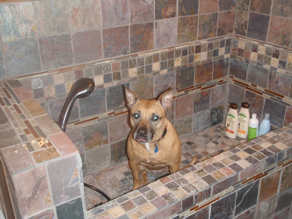 Slide of All Clear Sewer Works