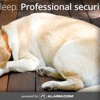 Synergy Security and Automation - Security Systems Near Me Synergy Security and Automation - Security Systems Near Me