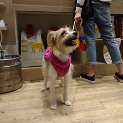 Padaria Pet