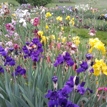 Presby Memorial Iris Gardens - Home & Garden Near Me - Montclair, New Jersey Presby Memorial Iris Gardens - Home & Garden Near Me - Montclair, New Jersey