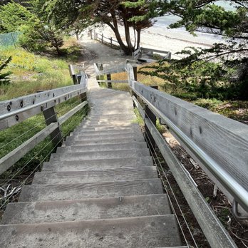 Seal Cove Cypress Tree Tunnel - Steps down to seal cove - Hiking Near Me - Moss Beach, California Seal Cove Cypress Tree Tunnel - Steps down to seal cove - Hiking Near Me - Moss Beach, California