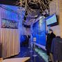 Photo of minus5 ICEBAR