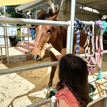 The Sweets Ranch - Horseback Riding Near Me