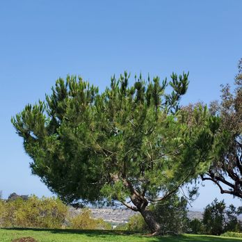 Buddy Todd Park - Playgrounds Near Me - Oceanside, California