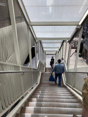 Chicago Transit Authority by null