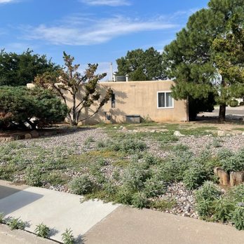 Green Peak Landscaping - Before Picture: Pull & Spray Service - Landscaping Near Me