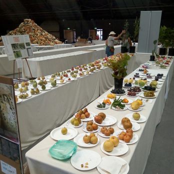National Heirloom Exposition - Fruits and veggies you won't find in stores - Festivals Near Me - Ventura, California National Heirloom Exposition - Fruits and veggies you won't find in stores - Festivals Near Me - Ventura, California