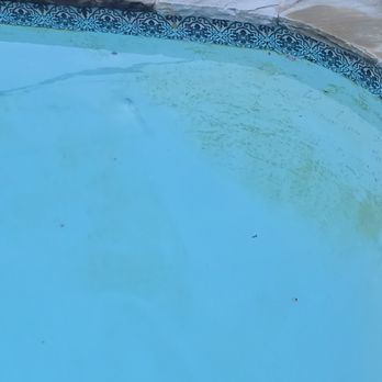 Aloha Pool Management - Algea,  today Wednesday - Pool & Hot Tub Service Near Me - Frisco, Texas