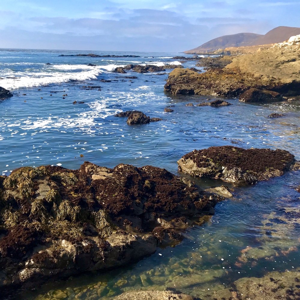 Harmony Headlands State Park - Coastline - Parks Near Me - Cayucos, California Harmony Headlands State Park - Coastline - Parks Near Me - Cayucos, California
