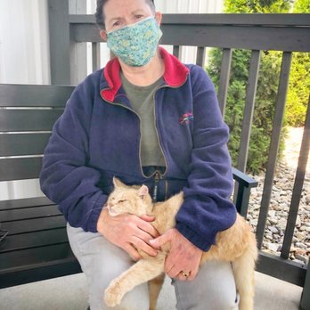 Preservation Distillery - With the local distillery cat... so sweet!! - Distilleries Near Me - Bardstown, Kentucky Preservation Distillery - With the local distillery cat... so sweet!! - Distilleries Near Me - Bardstown, Kentucky