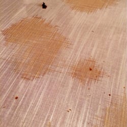 Horizontal - Mantel sucio ANTES de comer. Tapado por una servilleta extendida para que no se viera.