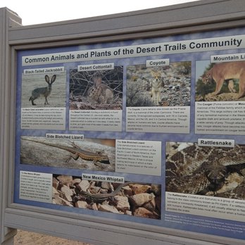 Desert Trails Community Park - Natural inhabitants - Parks Near Me - Las Cruces, New Mexico Desert Trails Community Park - Natural inhabitants - Parks Near Me - Las Cruces, New Mexico