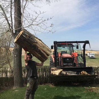 Cowboy Trail Tree Service - Tree Services Near Me - Calgary, Alberta Cowboy Trail Tree Service - Tree Services Near Me - Calgary, Alberta