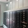 The Postal Mail