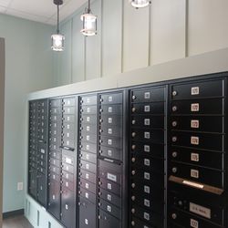 The Postal Mail